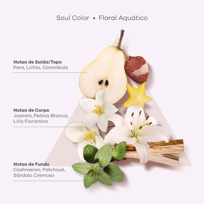 Soul Color Conditioner 250ml