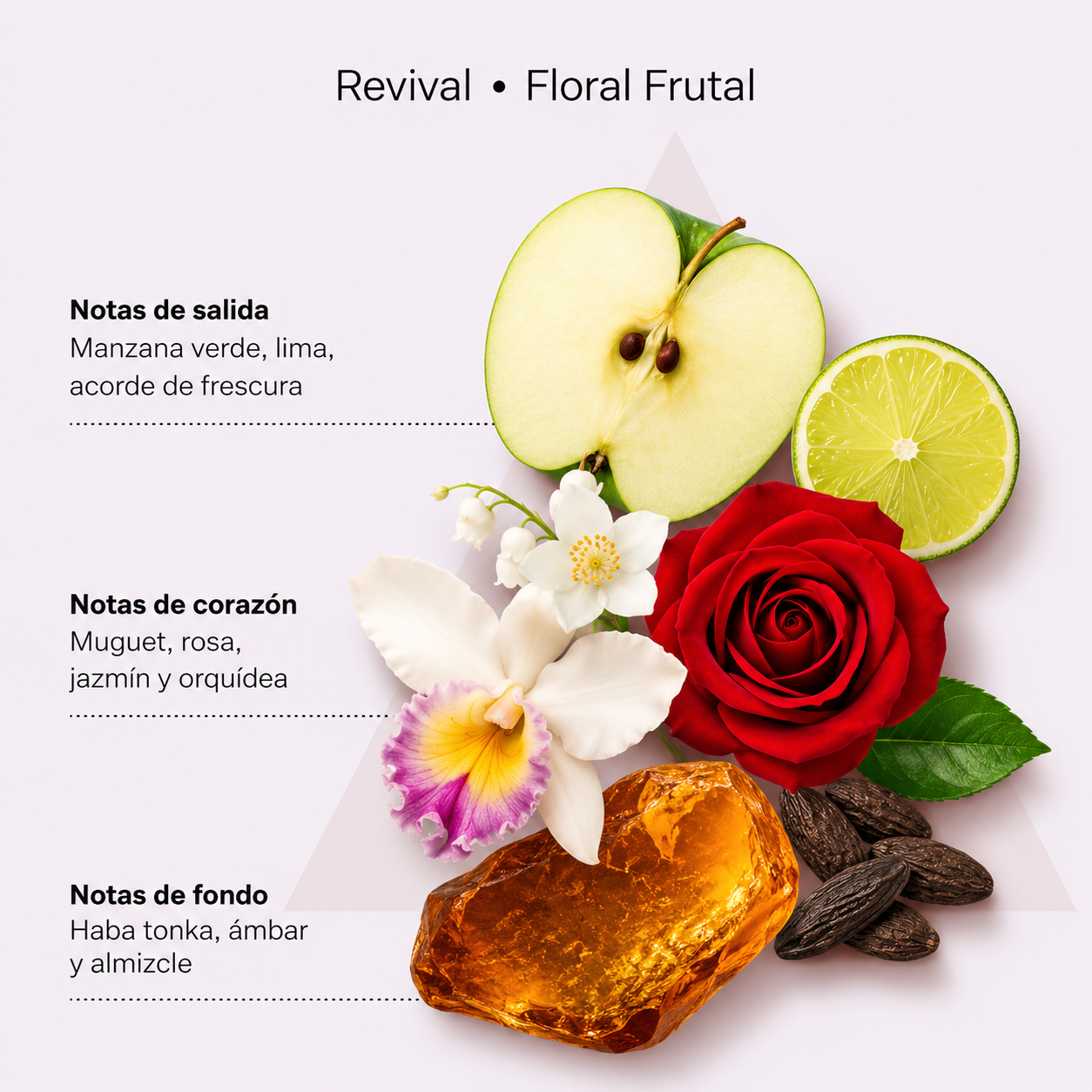 Revival Shampoo 250ml