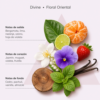 Divine 10 In 1 Leave-In 200g