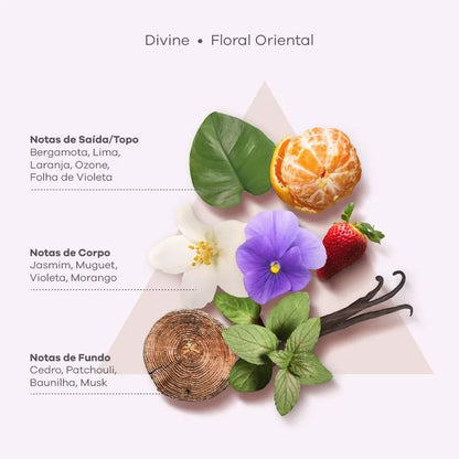 Divine Anti-Frizz Conditioner 250ml
